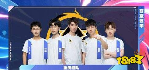 续约